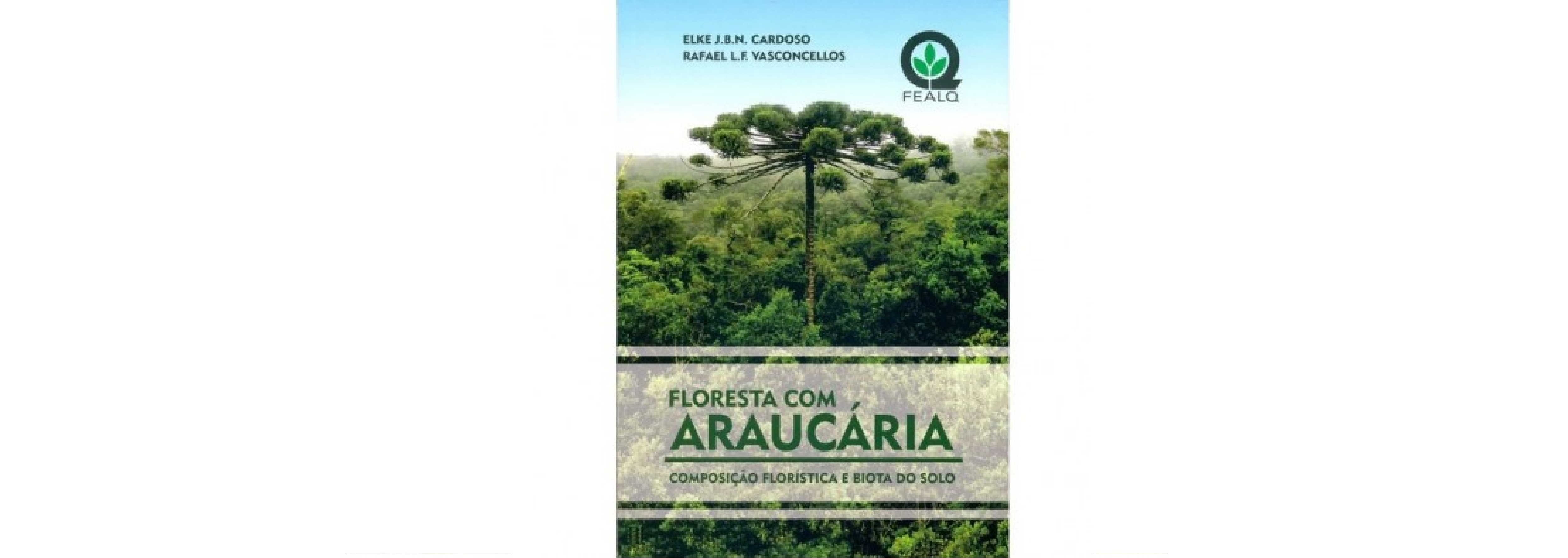 Pesquisas com araucárias