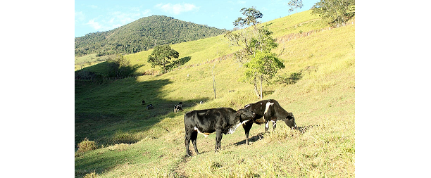 Mudanças afetam biodiversidade