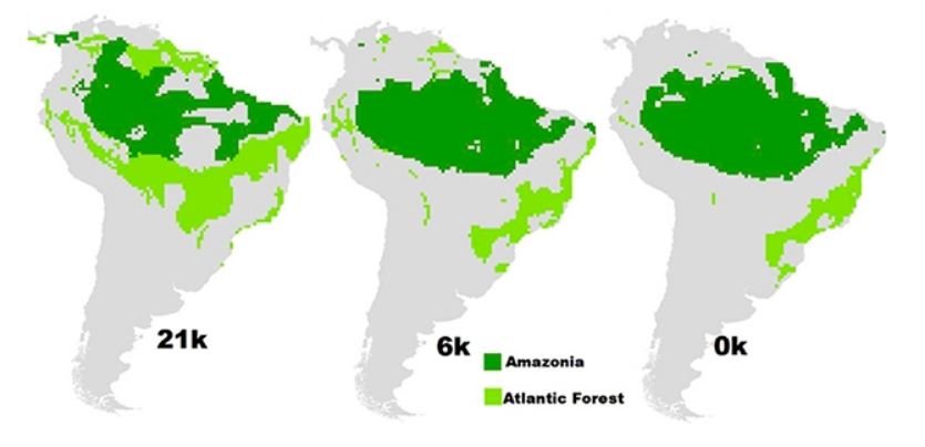 Pesquisa identifica e classifica áreas prioritárias para conservação na Amazônia e Mata Atlântica