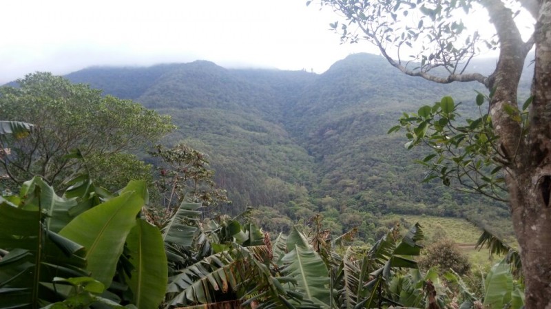 Sema (RS) incentiva municípios a elaborar Planos da Mata Atlântica