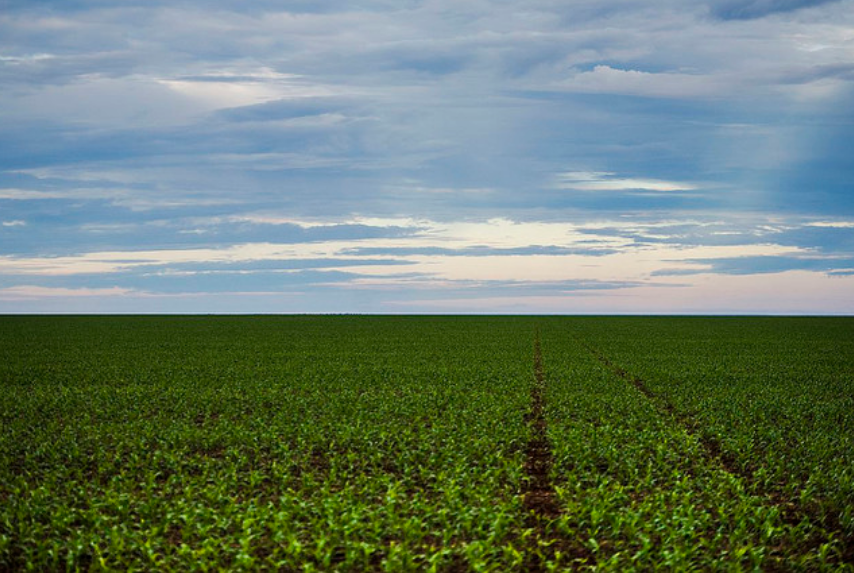 No Brasil, 2 mil latifúndios ocupam área maior que 4 milhões de propriedades rurais