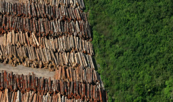 IPCC faz alerta para a urgência de medidas de redução do ritmo das mudanças climáticas