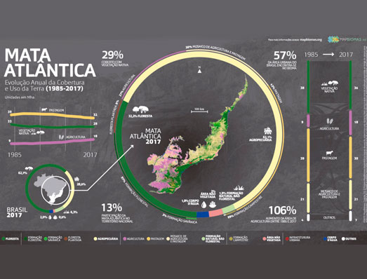 Projeto de mapeamento do uso do solo (MapBiomas) auxilia o planejamento municipal