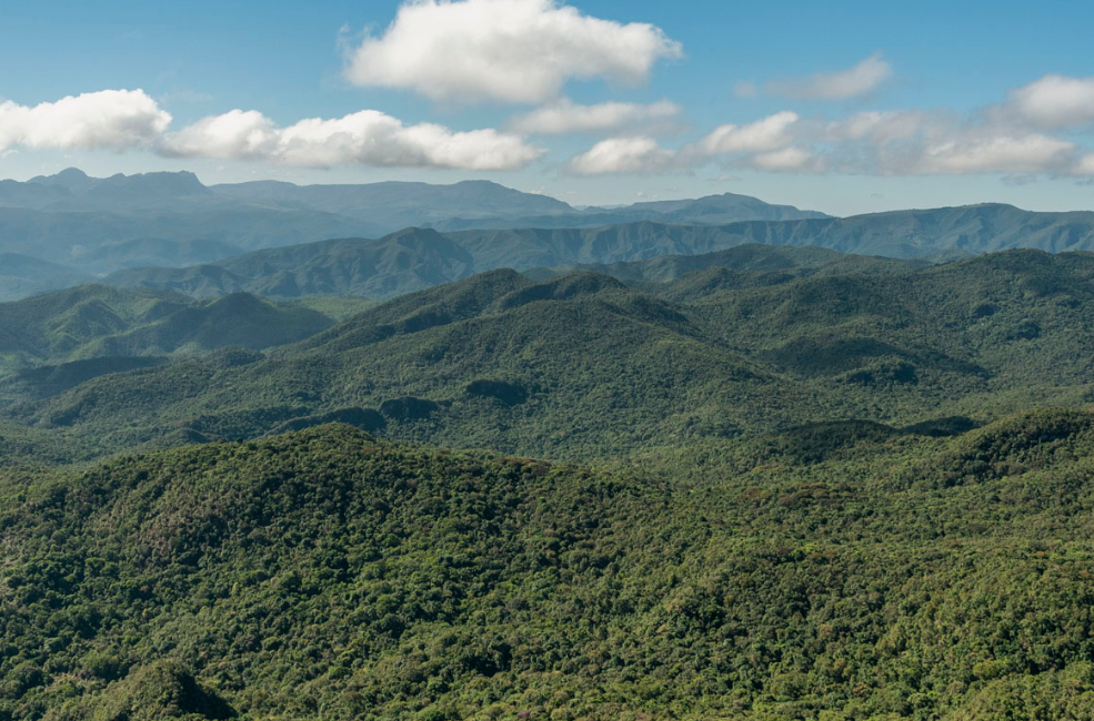 Novos critérios e procedimentos relacionados à supressão de vegetação em áreas de Mata Atlântica são definidos pelo IBAMA