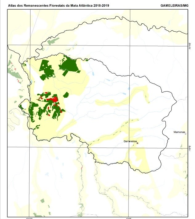 71% do desmatamento da Mata Atlântica entre 2018 e 2019 ocorreu em apenas 100 municípios