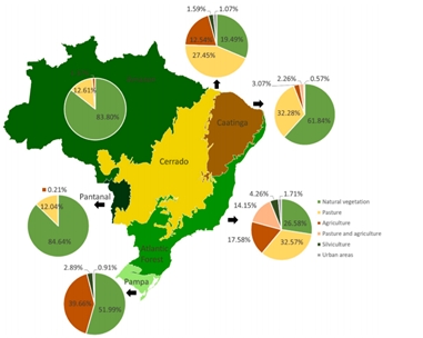 Urbanização e agricultura são os usos do solo que mais afetam os rios no Brasil