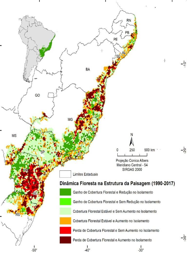 Desmatamento de floresta madura ainda ameaça a Mata Atlântica