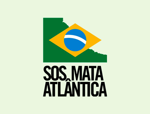 SOS Mata Atlântica abre inscrições para curso “Somos Mata Atlântica”