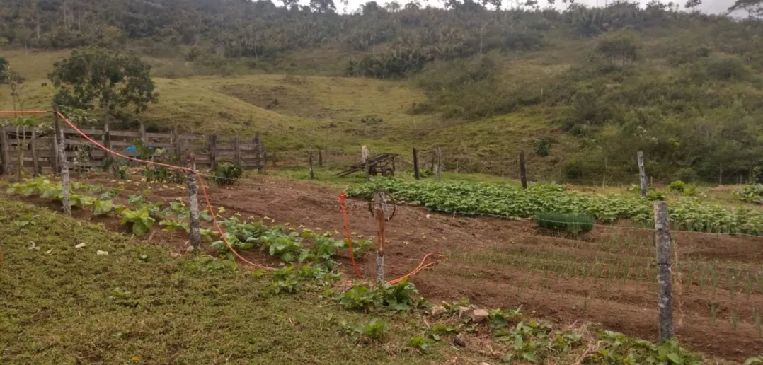 Fazenda na região dá exemplo de recuperação da Mata Atlântica com incentivo do PAF no Dia Mundial da Água